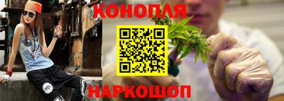 шишки Гай