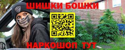 шишки Гай