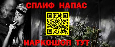 шишки Гай