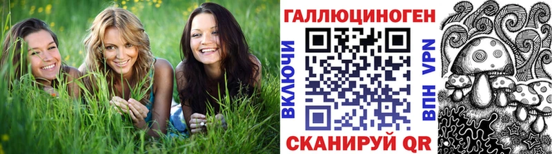 Псилоцибиновые грибы Psilocybe  Алушта 